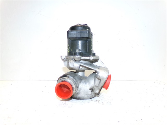 Valvula Egr