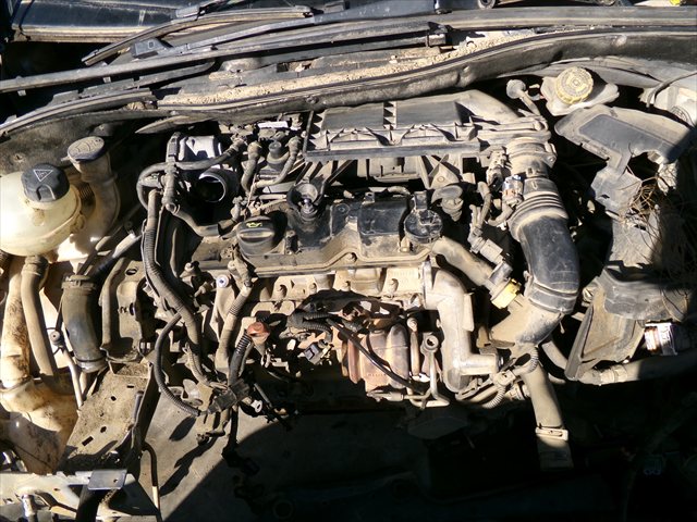 Motor Diesel