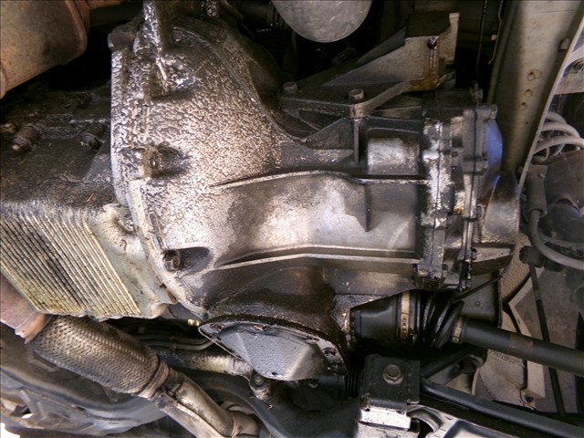 Cambio 5V Gasolina