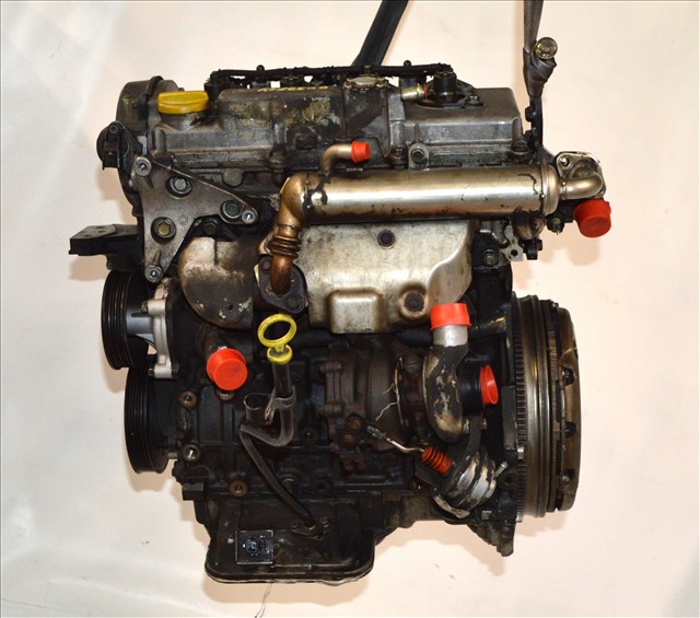 Motor Diesel