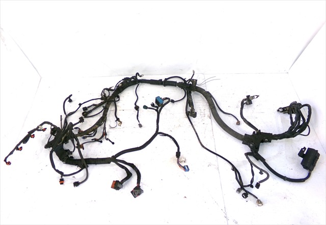 Cableado Motor