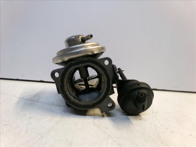 Valvula Egr
