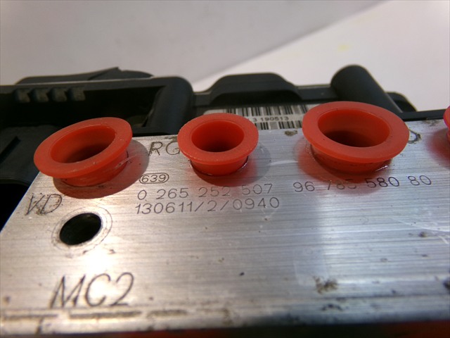 Foto 5