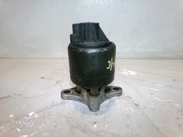 Valvula Egr