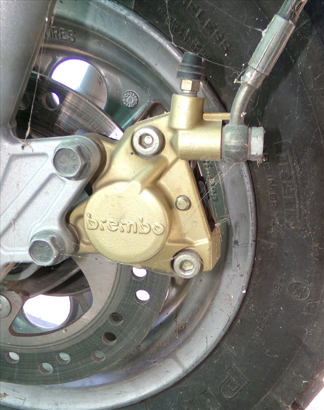 Pinza Freno Delantera