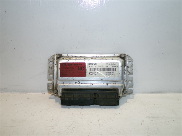 Centralita Motor Ecu
