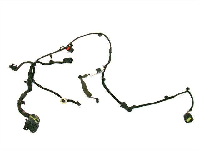 Cableado Puerta Delantera Derecha