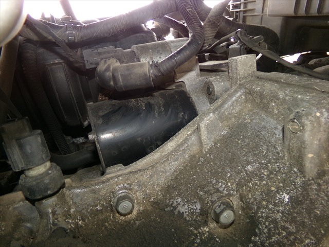 Motor Arranque Gasolina