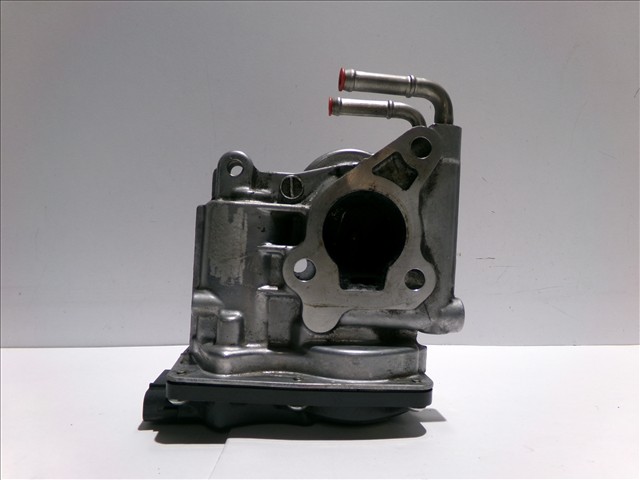 Valvula Egr