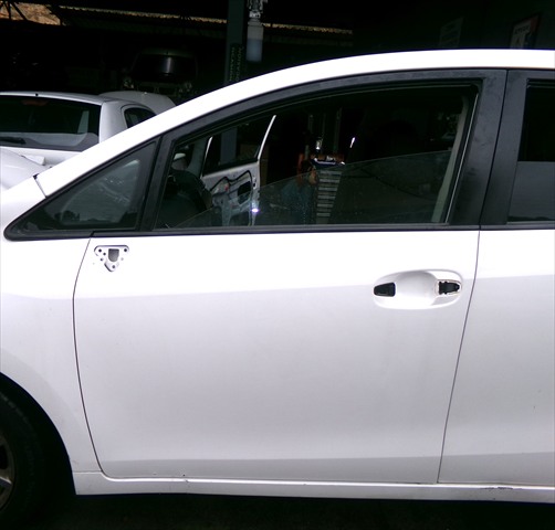 Puerta Delantera Izquierda