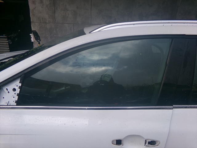 Cristal Puerta Delantera Izquierda