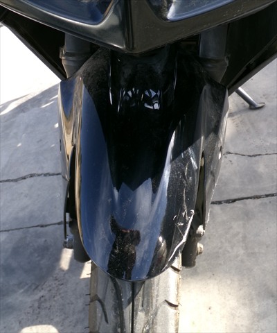 Guardabarros Delantero