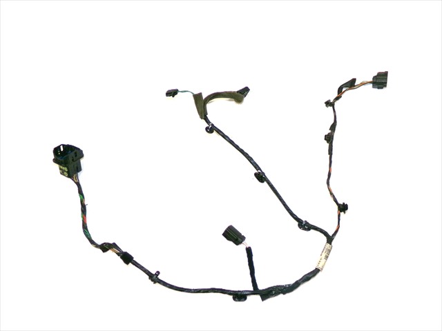 Cableado Puerta Trasera Derecha