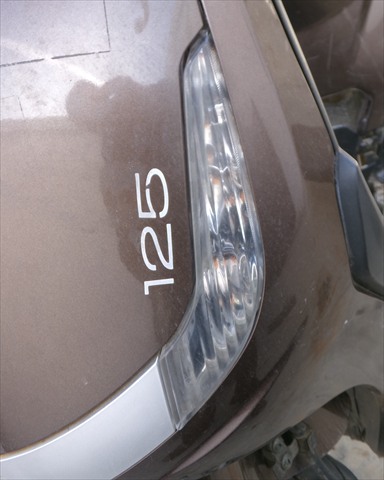 Intermitente Delantero Izquierdo