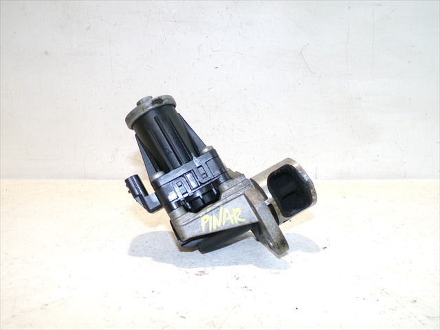 Valvula Egr
