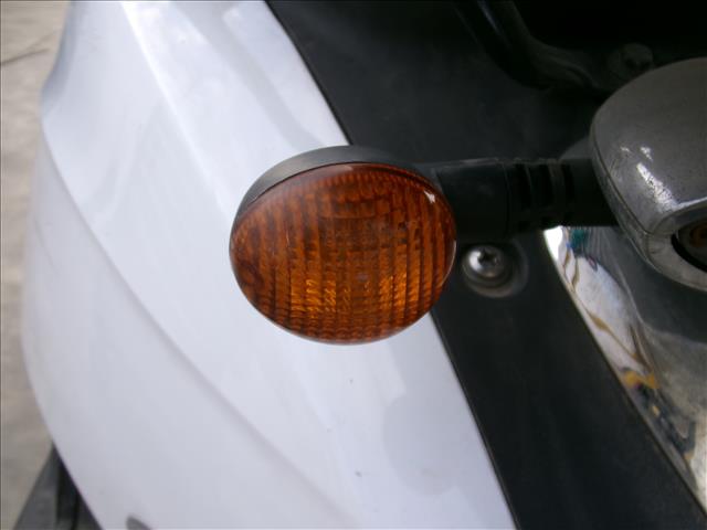 Intermitente Trasero Izquierdo