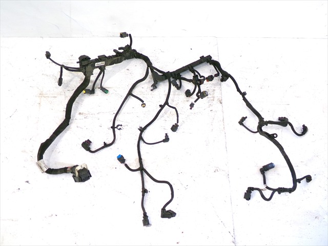 Cableado Motor