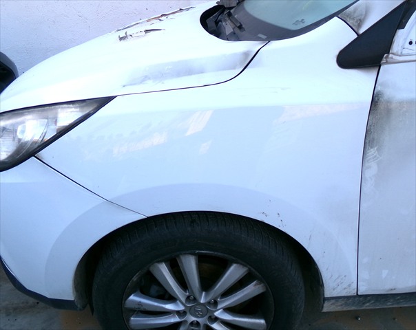 Aleta Delantera Izquierda