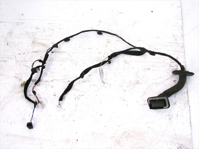 Cableado Puerta Delantera Derecha