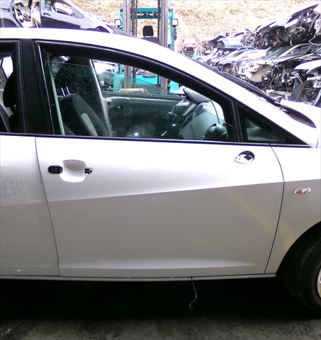 Puerta Delantera Derecha