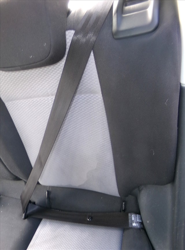 Cinturon Trasero Izquierdo