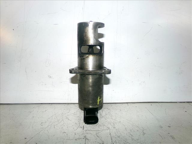 Valvula Egr