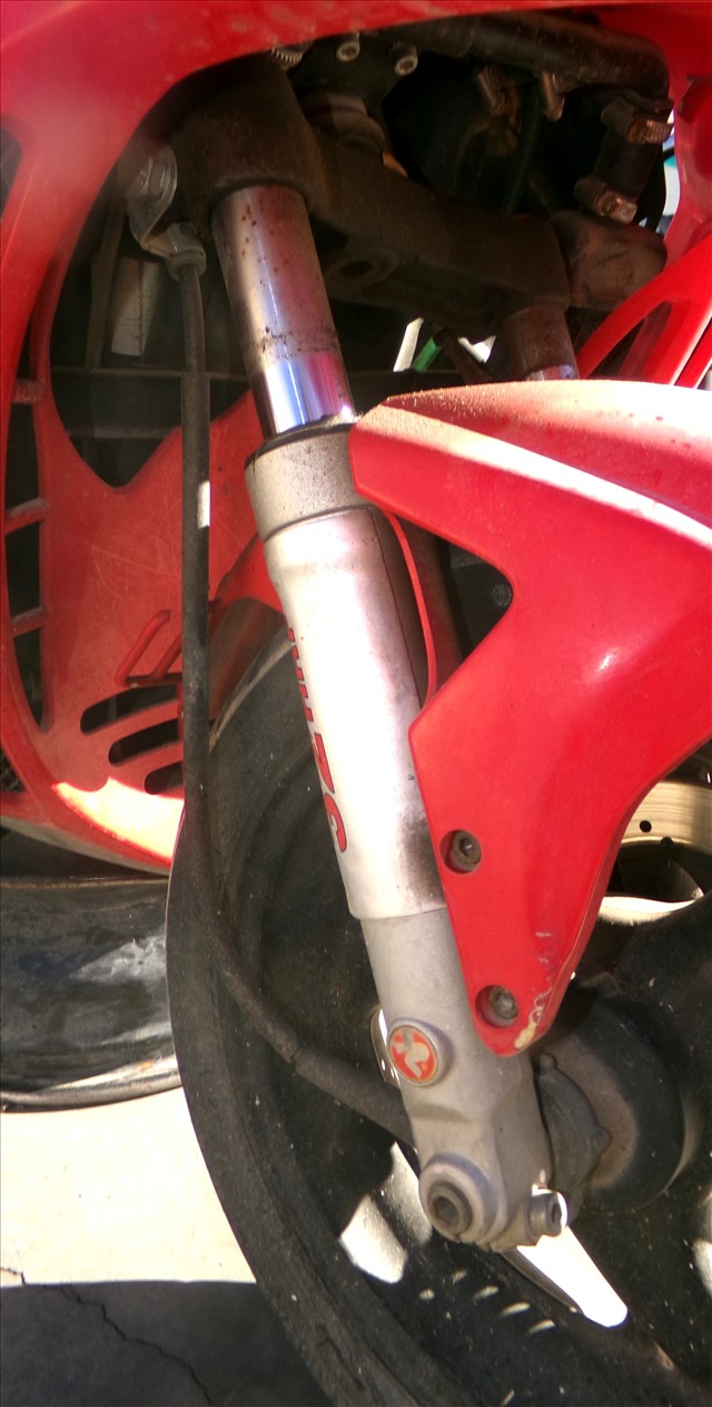 Amortiguador Delantero Derecho