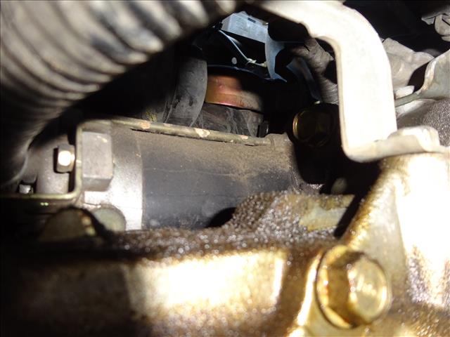 Motor Arranque Gasolina