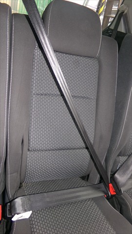 Cinturon Trasero Central