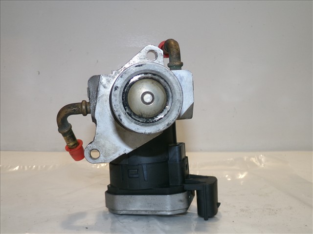 Valvula Egr