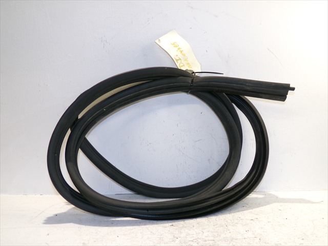 Goma Contorno Puerta Delantera Izquierda