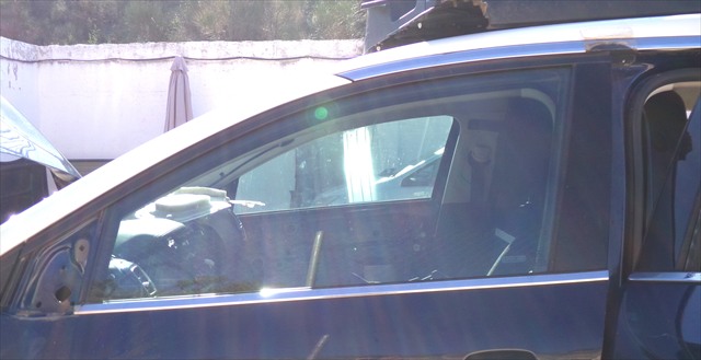 Cristal Puerta Delantera Izquierda