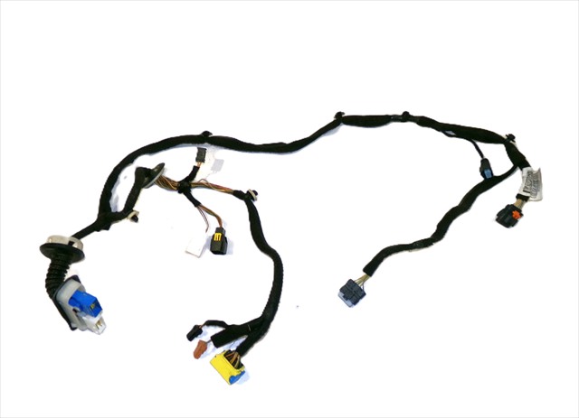 Cableado Puerta Delantera Izquierda