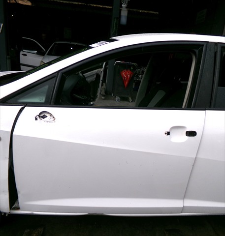 Puerta Delantera Izquierda