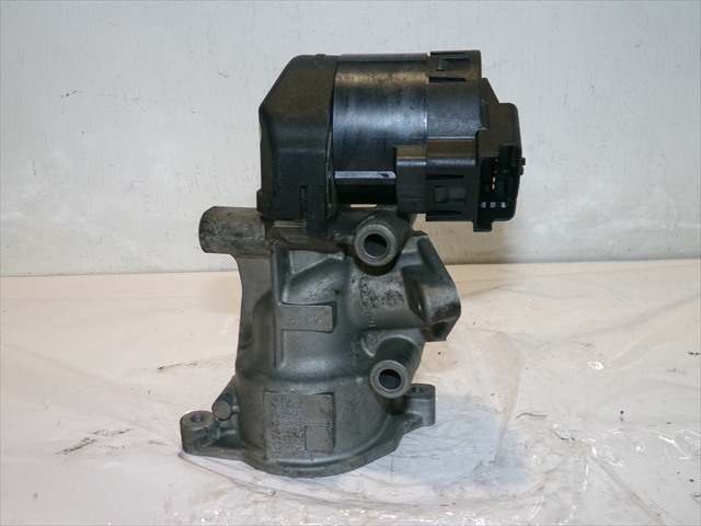 Valvula Egr