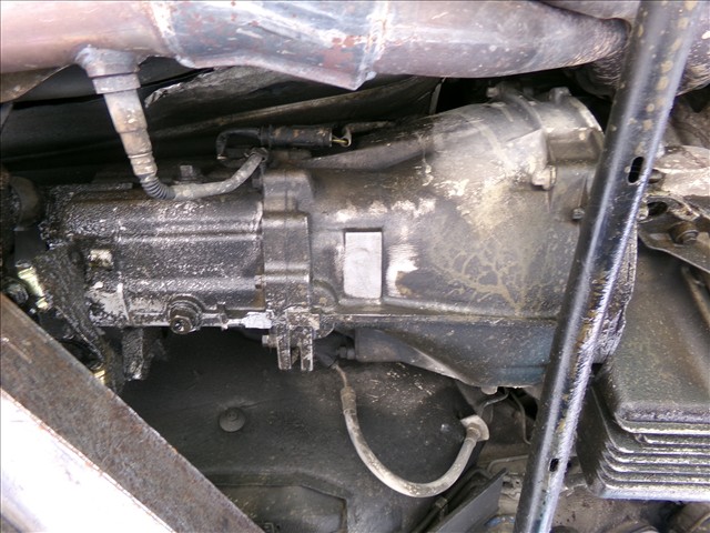 Cambio 5V Gasolina