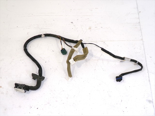 Cableado Puerta Delantera Derecha