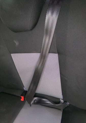 Cinturon Trasero Izquierdo