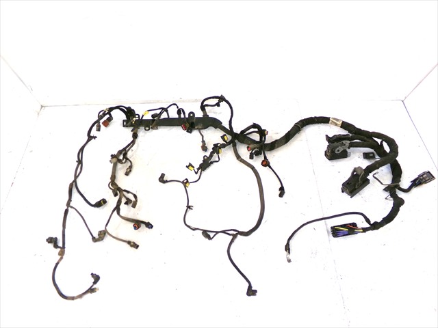 Cableado Motor