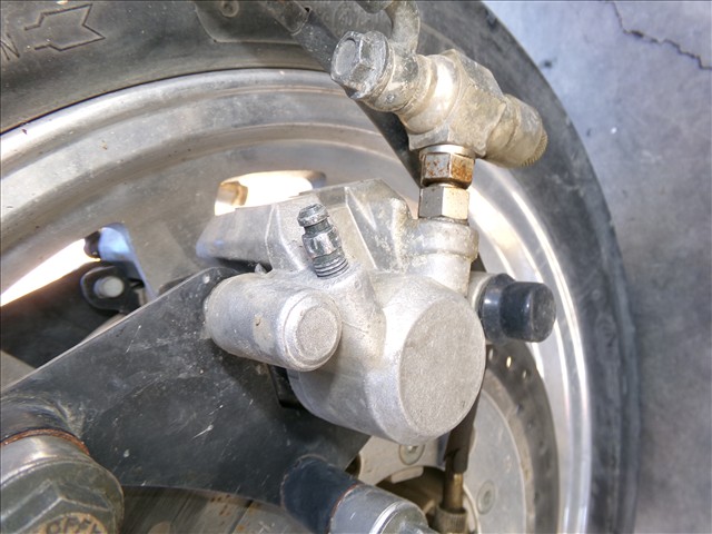 Pinza Freno Delantera