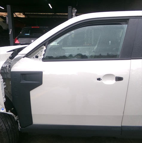 Puerta Delantera Izquierda