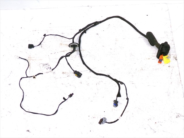 Cableado Puerta Delantera Derecha