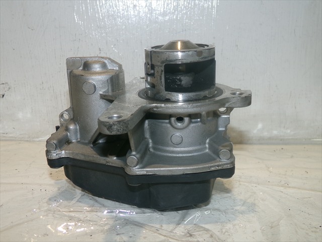 Valvula Egr