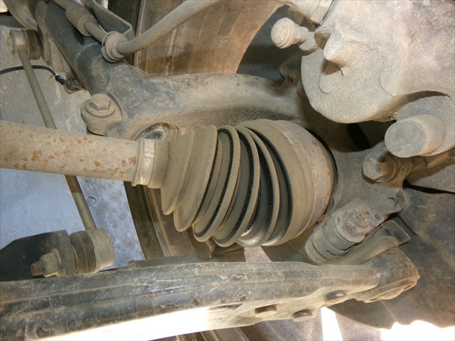 Foto 2