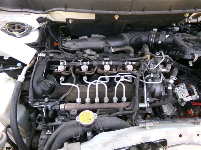 Motor Diesel