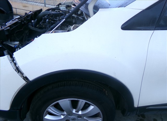 Aleta Delantera Izquierda