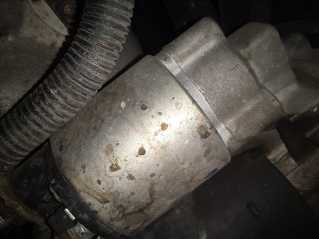 Motor Arranque Gasolina