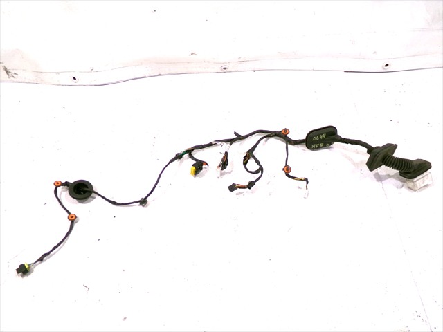 Cableado Puerta Delantera Derecha