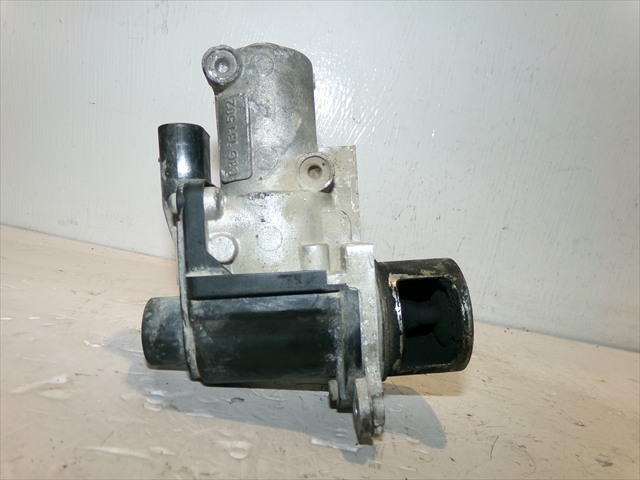 Valvula Egr