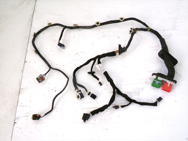 Cableado Puerta Delantera Derecha